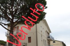 Occasione! Appartamento a Punta Marina