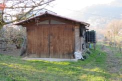 Ricovero attrezzi agricoli - Modigliana