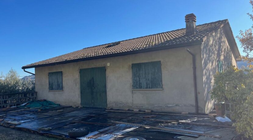 Fabbricato rurale con uliveto