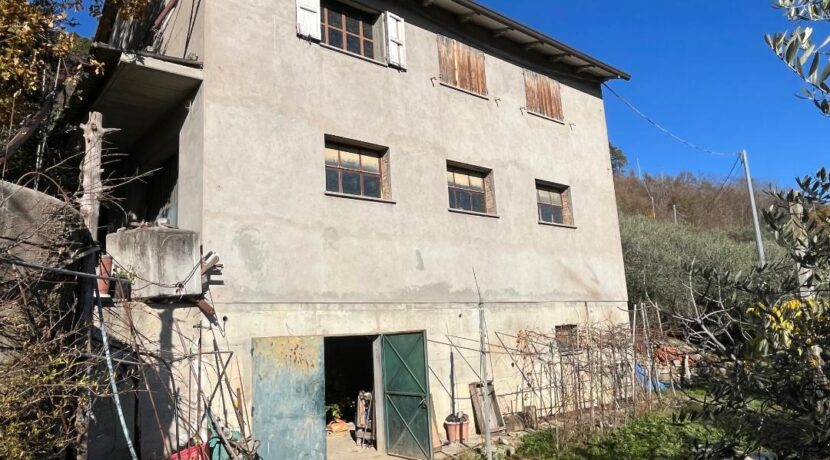 Fabbricato rurale con uliveto