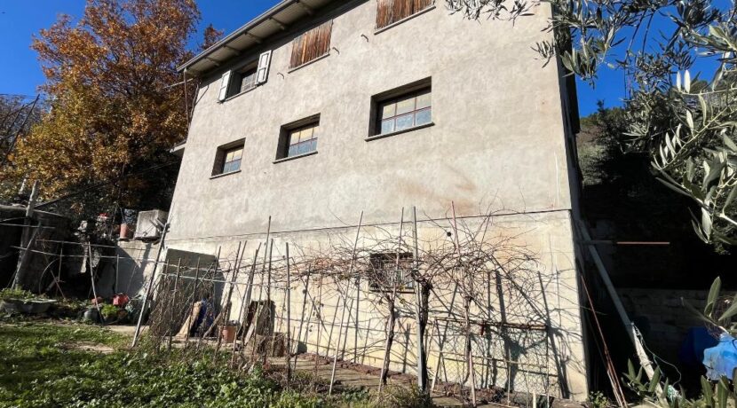 Fabbricato rurale con uliveto