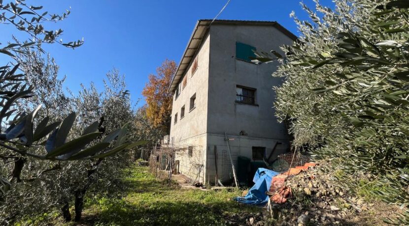 Fabbricato rurale con uliveto