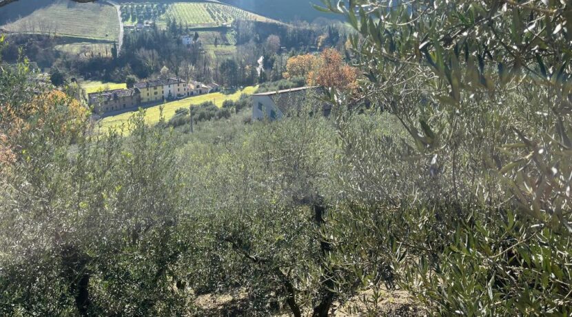 Fabbricato rurale con uliveto